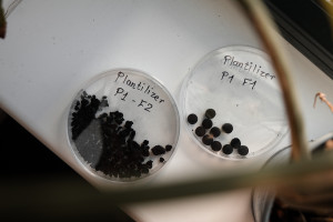 BioIntelligence